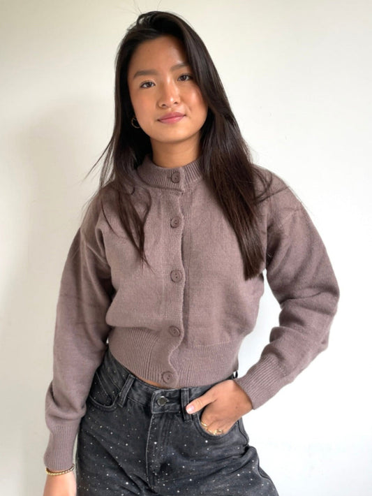 Cozy Cardigan Brown