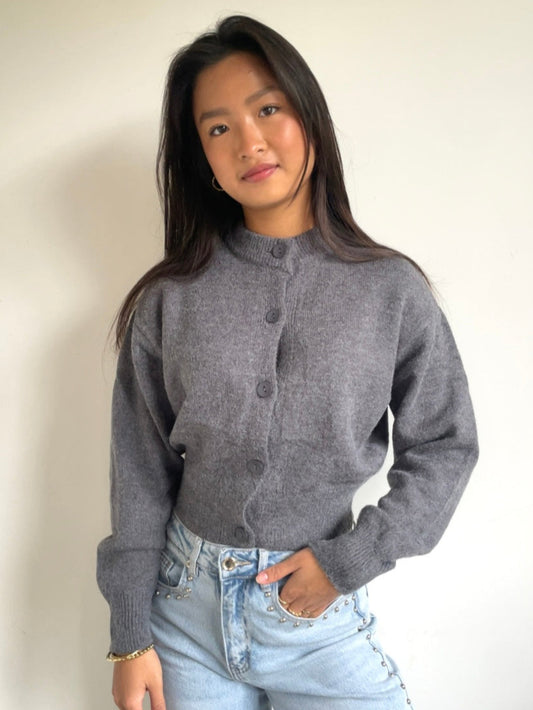 Cozy Cardigan Grey
